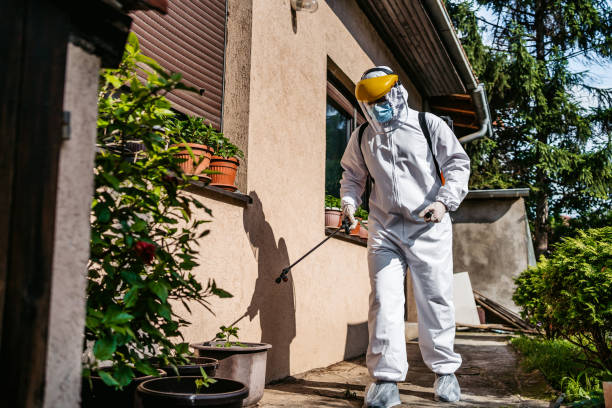 Best Cockroach Control Services  in Kerens, TX