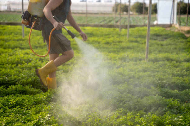 Best Wildlife Control Services  in Kerens, TX