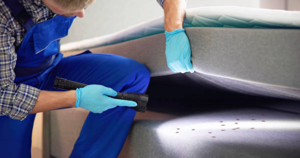 Best Exterminator Services  in Kerens, TX