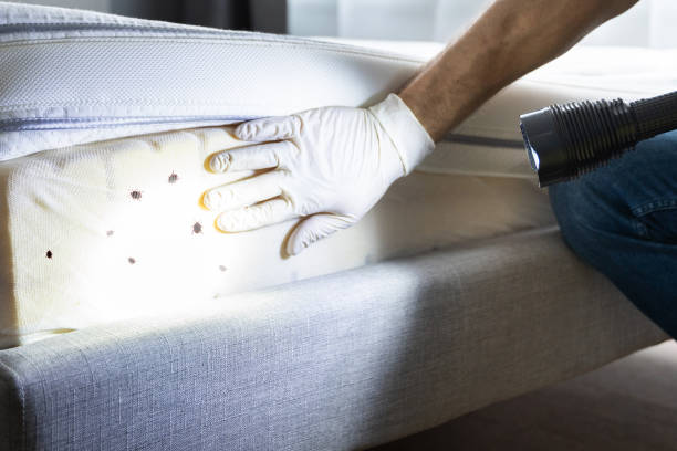 Best Pest Inspection Near Me  in Kerens, TX