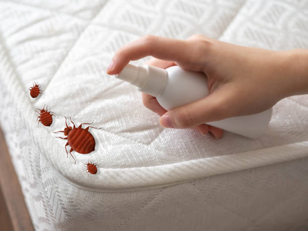 Pest Prevention Services in Kerens, TX
