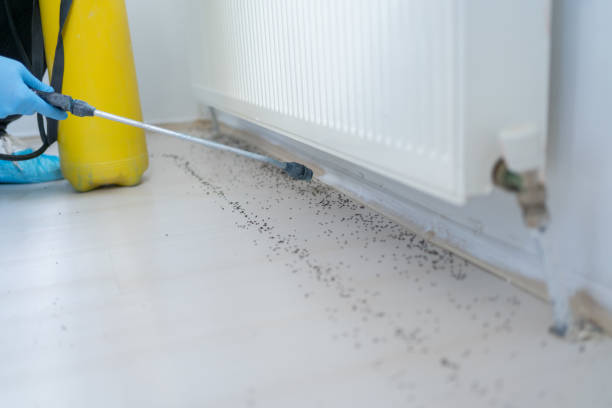 Best Pest Prevention Services  in Kerens, TX
