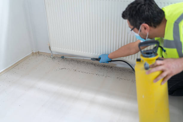 Pest Control for Restaurants in Kerens, TX