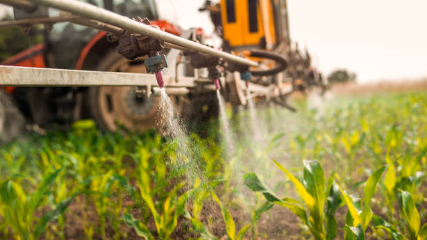Reliable Kerens, TX Pest Control Solutions