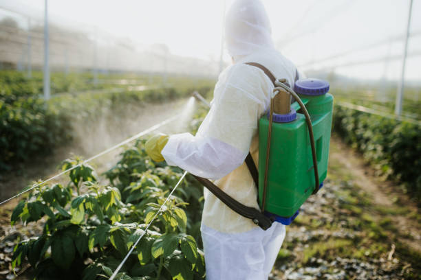 Best Wasp Removal Services  in Kerens, TX